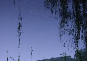 DSC08086@.jpg