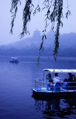 DSC07860@.jpg