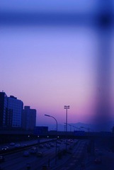 DSC08898@.jpg