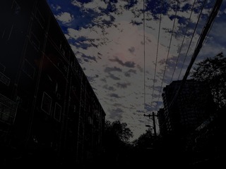 1321709