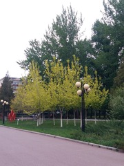 2335362