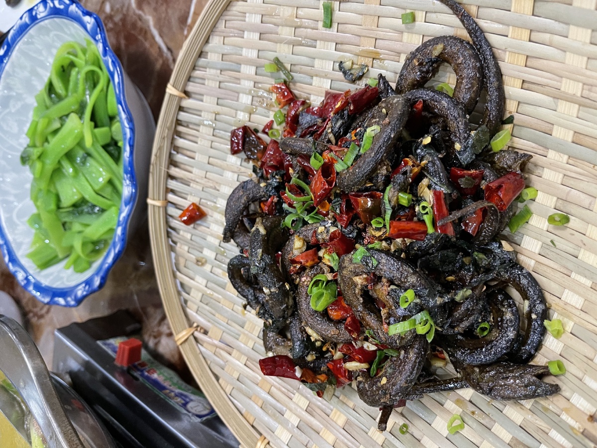 湖南盘龙鳝