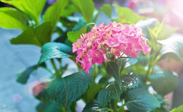DSC_0127.jpg