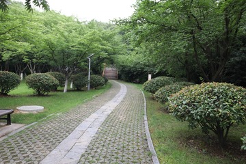 EB06465A-4C75-46A2-95BA-A3CBAED65AC8/L0/001