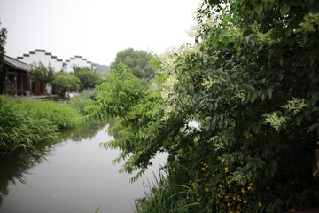 617F2031-9F4B-4149-AD97-C175F71A1D40/L0/001