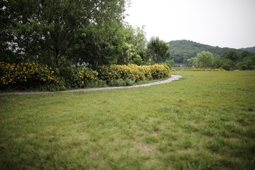 C488953B-C333-4404-9DF8-B06B665D4E8B/L0/001