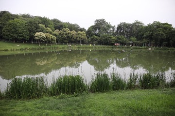 BCED249B-1A44-43B5-874B-80C31C18C1CE/L0/001
