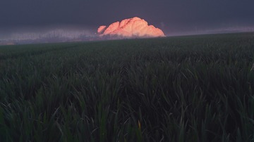 25259