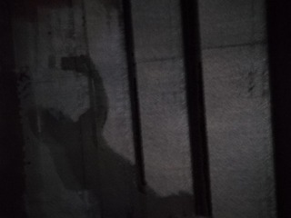 15115