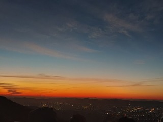 1000030024
