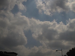 F77170FA-11EB-4598-BF51-175F37C9890B/L0/001