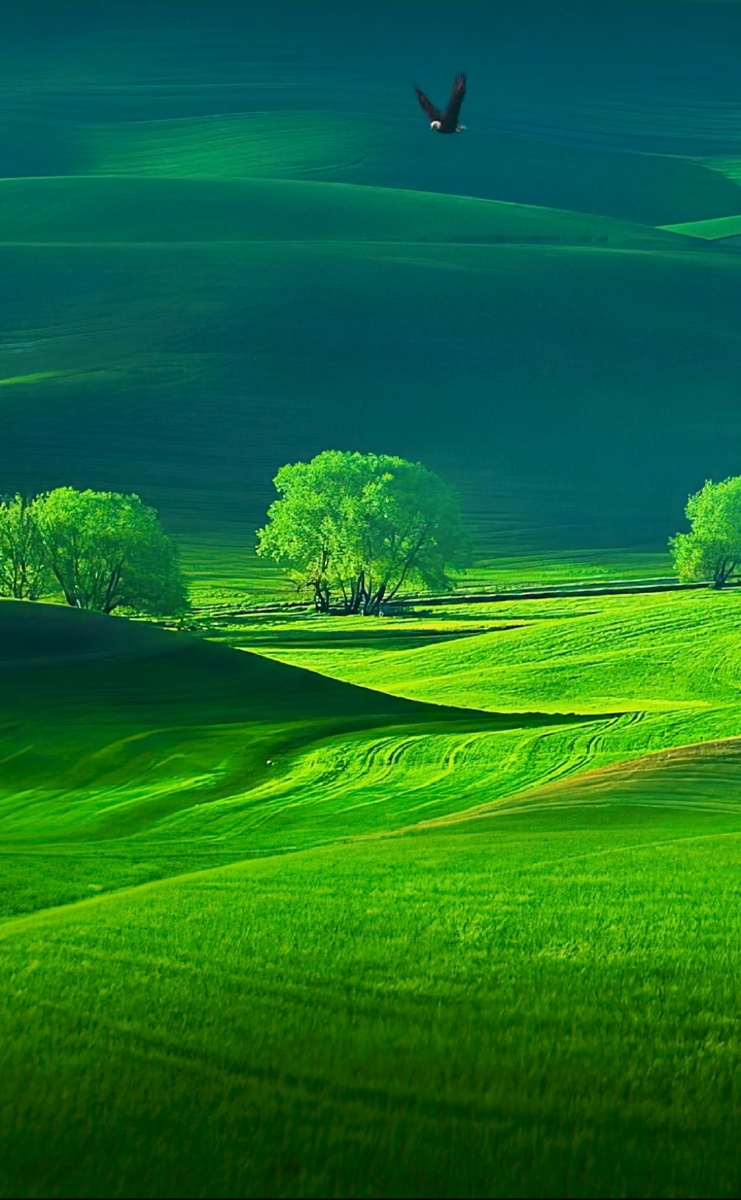 大自然的美色! - 摄影师安排 - 图虫