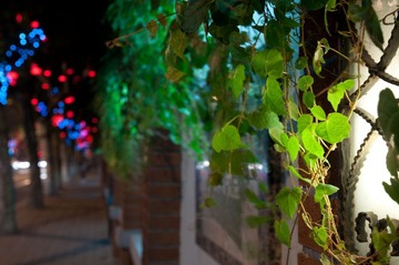 DSC_0111.jpg