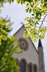 DSC_0061.jpg