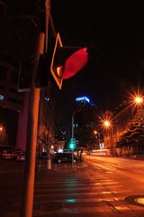 DSC06118.jpg