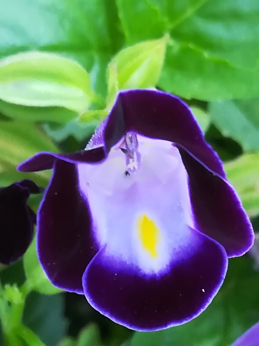 900_1200竖版 竖屏