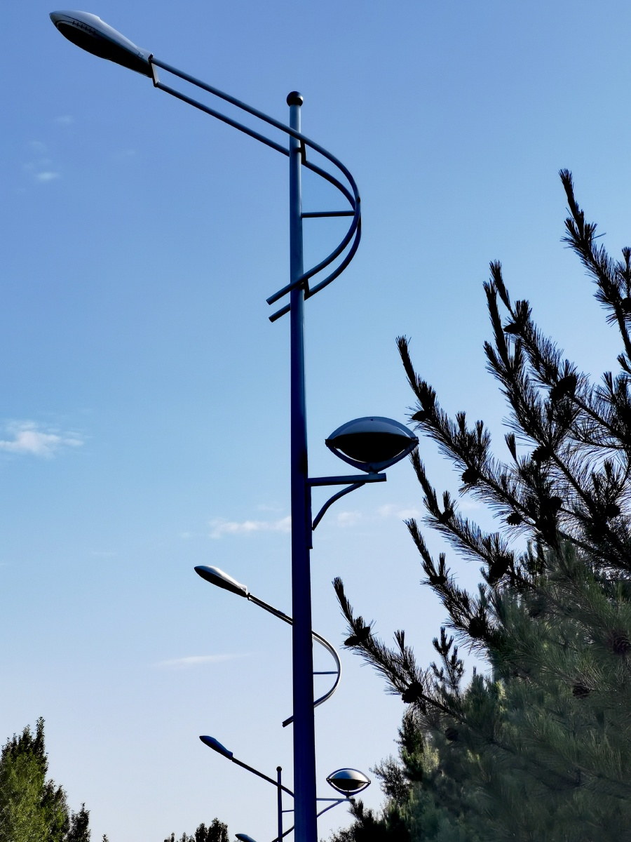 青海大学校园里的路灯