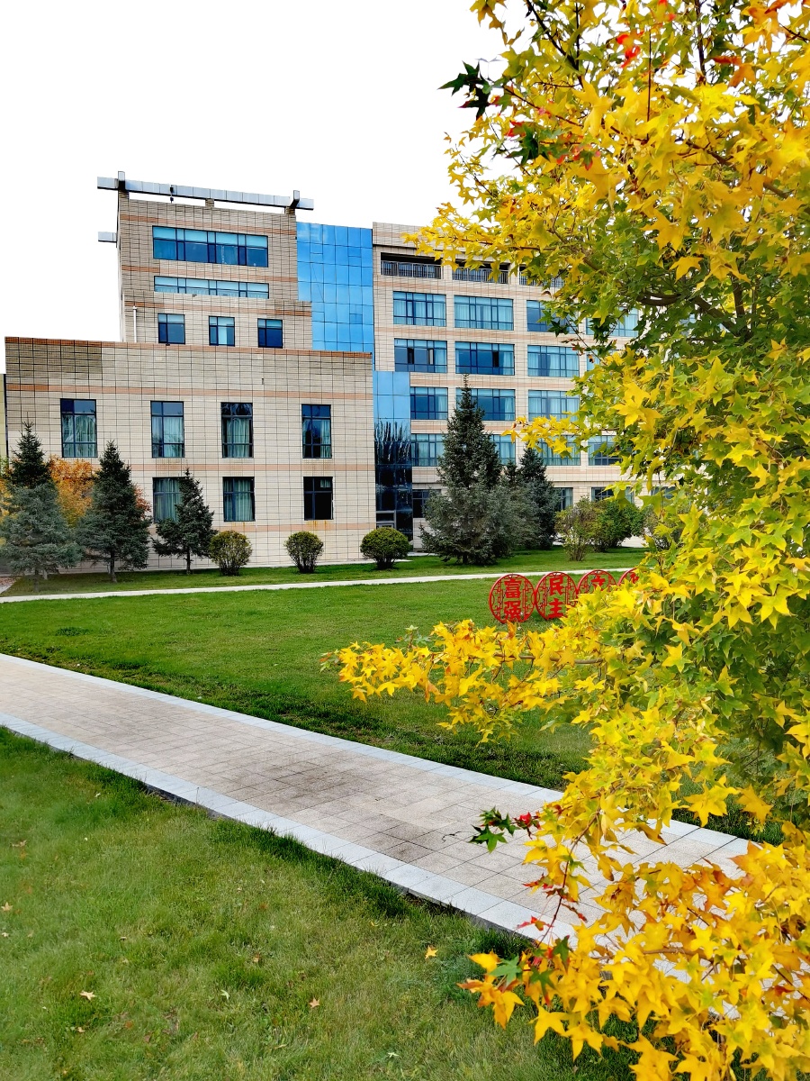 中国 青海省 西宁市 青海大学秋景 - 阿伟161991576351235 - 图虫