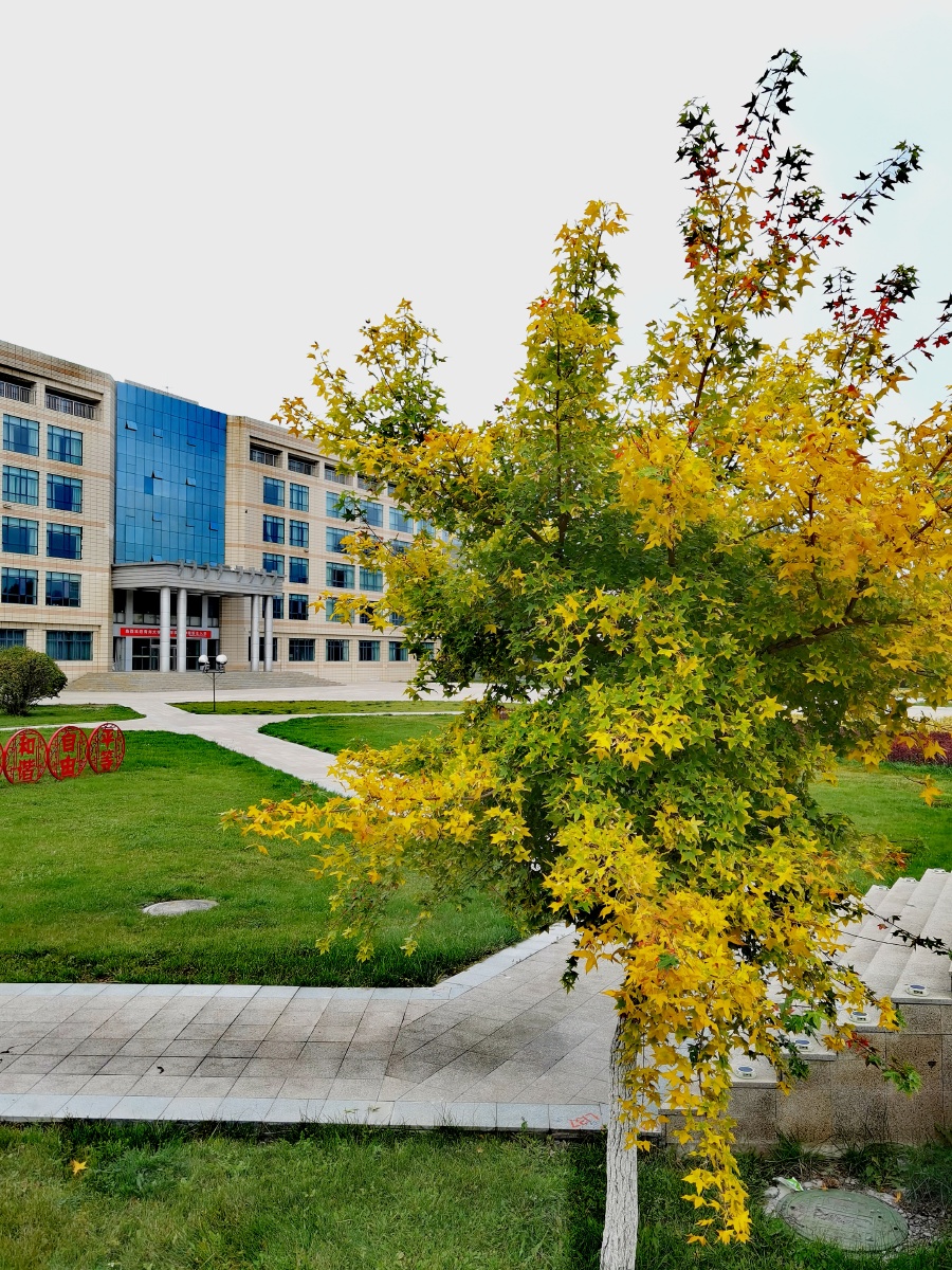 中国青海省西宁市青海大学秋景