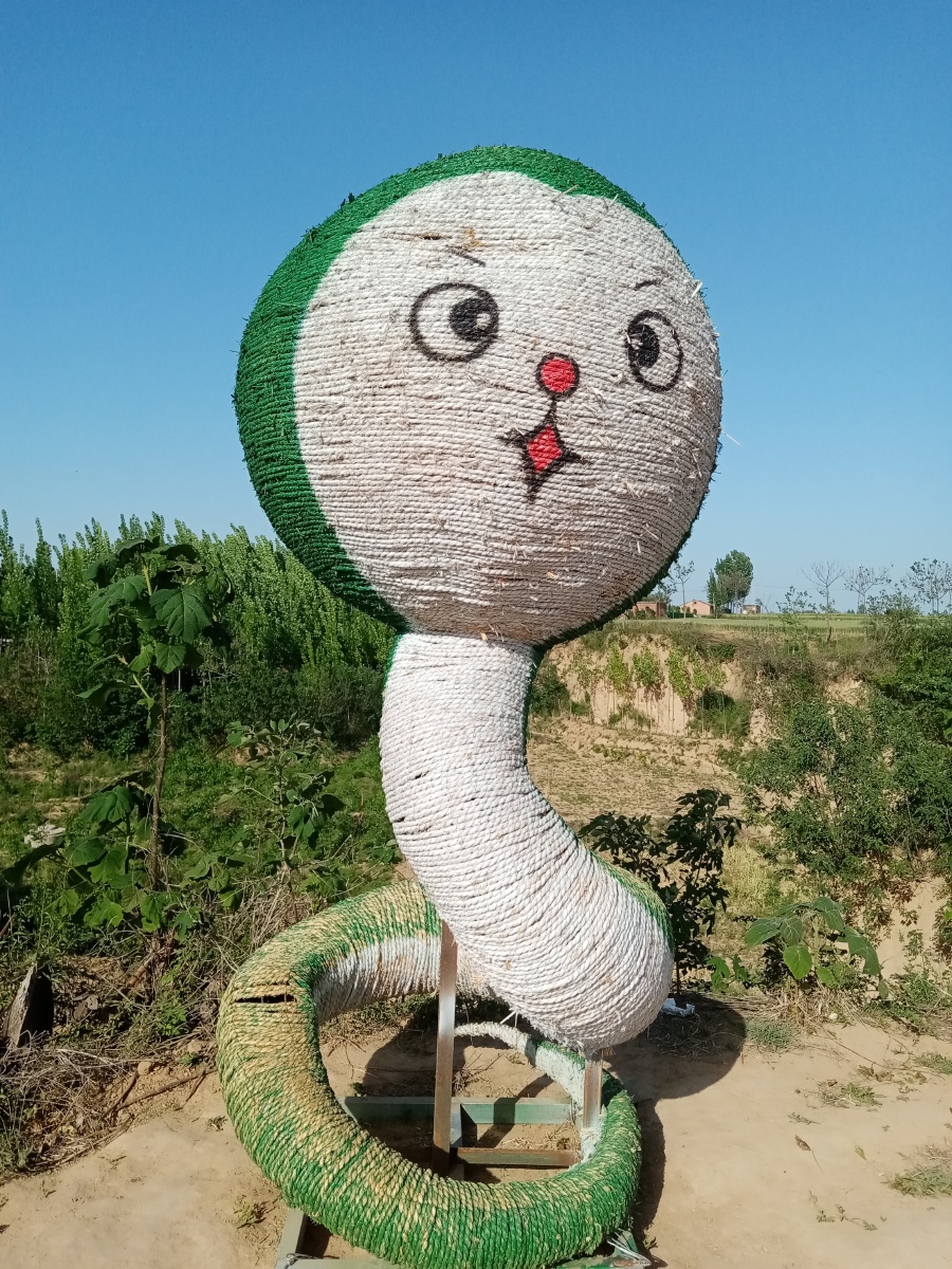 动物的世界用轮胎做的