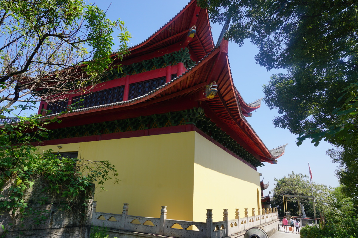 寿宁禅寺的午后77秋柿被阳光穿刺连同寿宁禅寺的一切建筑隐于绍兴