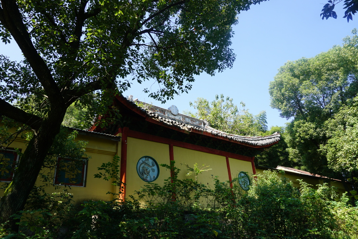 寿宁禅寺的午后77秋柿被阳光穿刺连同寿宁禅寺的一切建筑隐于绍兴