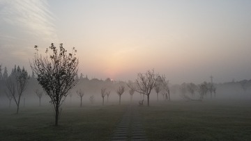 802332