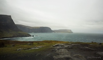 IMG_2784.jpg