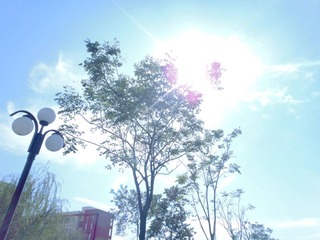 DSC071.jpg