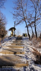 DSC08854副本.jpg