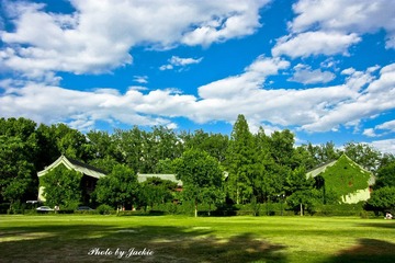 _MG_2130 copy.jpg