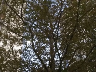 603281