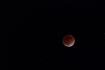 IMG_9869.jpg