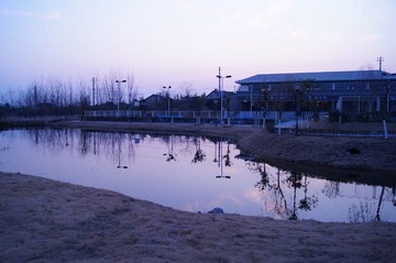 DSC04516.JPG
