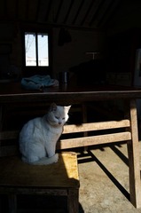 DSC04602.JPG