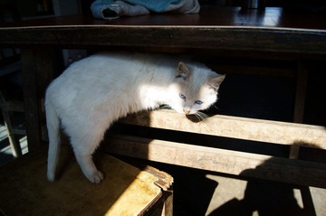 DSC04604.JPG