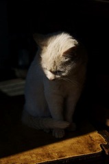 DSC04598.JPG