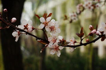 DSC05485.JPG