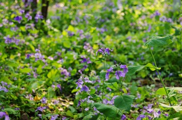 DSC05576.JPG