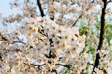 DSC05586.JPG
