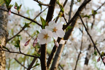 DSC05589.JPG