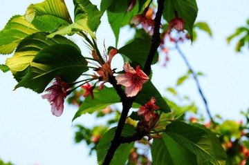 DSC05614.JPG
