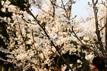 DSC05617.JPG