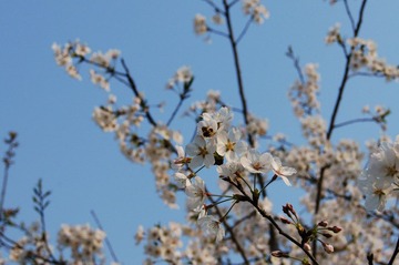 DSC05590.JPG