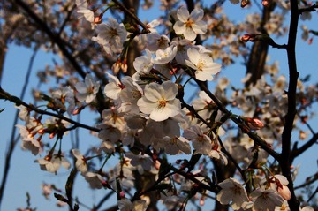 DSC05597.JPG
