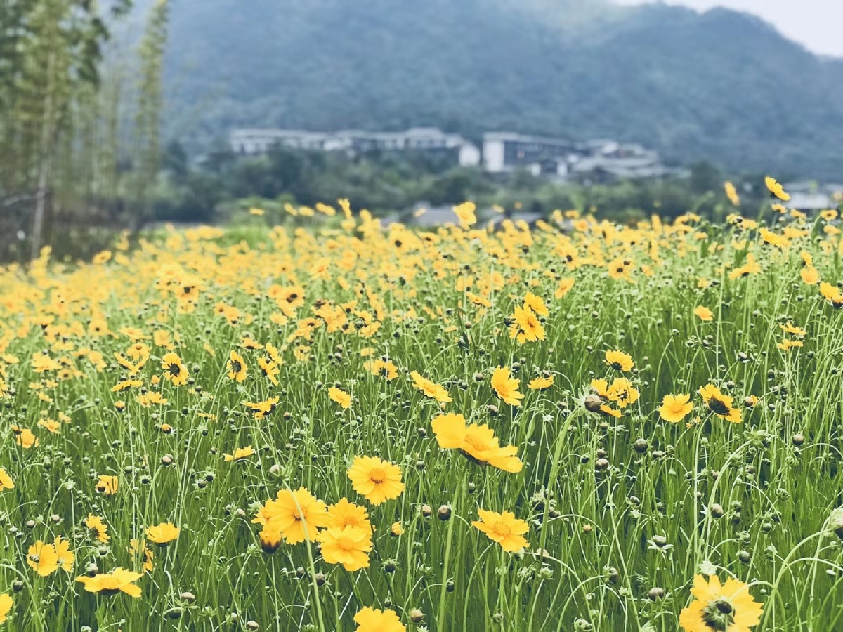 随手一拍记录心情很舒心