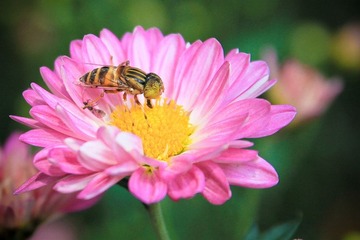 IMG_0989.jpg
