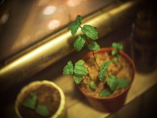 P9291051-2.jpg