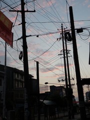 P6303839