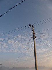 P6303902